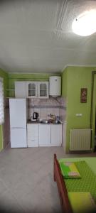 a kitchen with a white refrigerator and green walls at Apartman Tomas in Herceg-Novi