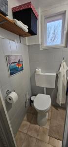 a small bathroom with a toilet and a window at Oscar Apartman Rezi in Rezi +25 photos