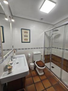 a bathroom with a toilet and a shower and a sink at Casa Rural El Hollejo in Pulgar