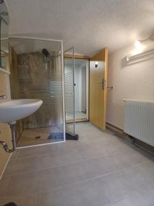a bathroom with a sink and a glass shower door at Haus Angermann in Struppen +58 photos