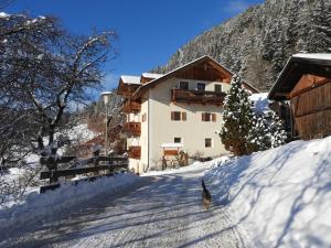 a cat walking in the snow in front of a building at Hanslmoar Hof in Colli in Pusteria