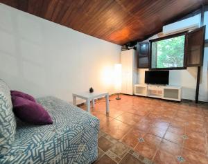a living room with a couch and a television at Villa Tamadaba Rural Home - Pet Friendly, Near Ocean, Ideal for Long Stays in Agaete