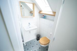 a small bathroom with a sink and a toilet at Sport B&B De Veluwezoom in Velp +31 photos