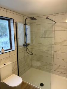 a bathroom with a glass shower with a toilet at Kellys Place Derry City Centre in Derry Londonderry +19 photos