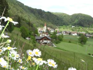 a field of flowers on a hill with a town at Hanslmoar Hof in Colli in Pusteria +11 photos