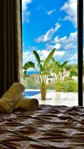 a bedroom with a window with a view of a plant at Casa del jazmin Kfarabida in Kafr ‘Ubaydā