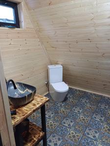 a bathroom with a toilet and a sink at Mestia Inn Chalet in Mestia +14 photos