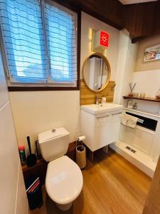 a bathroom with a toilet and a sink and a mirror at "La Cabine" côté mer et côté jardin à la VILLA PLEIN VENT in Barneville-Carteret +29 photos