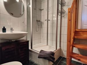 a bathroom with a shower and a sink at Reetmeer Apartments Spa & Reetdach am Salzhaff in Boiensdorf