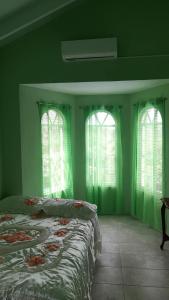 a green bedroom with a bed and two windows at Villa village 02 in Saint Lucia Island