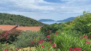 a view of the water from a garden with flowers at Oasi Verde 1 in Lerici
