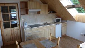 a small kitchen with a sink and a microwave at Penzion Pod Jáchymem in Dobrá Voda