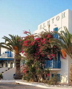 a building with flowering plants and palm trees in front of it at Hotel Alkyon in Megas Gialos - Nites