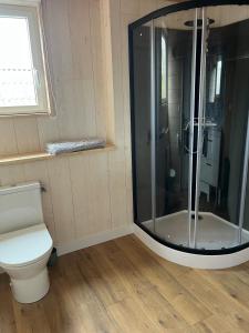 a bathroom with a shower and a toilet at ty loft keremma in Tréflez +15 photos