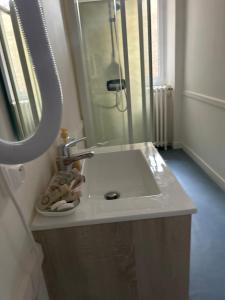 a bathroom with a sink and a shower at Chez Elie in Saintes