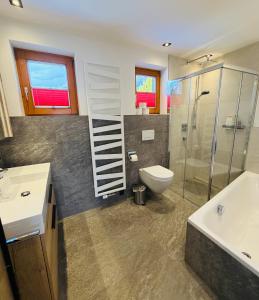a bathroom with a toilet and a sink and a shower at dorfwerfen137 in Pfarrwerfen