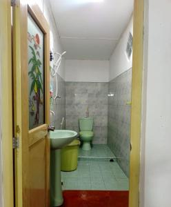 a bathroom with a green toilet and a sink at PINI ROO Villa in Badulla