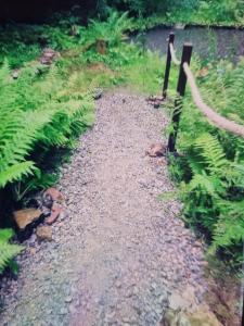 a gravel path with a rope tied to a pole at Abenteuerurlaub im Tannenwald in Ilmenau