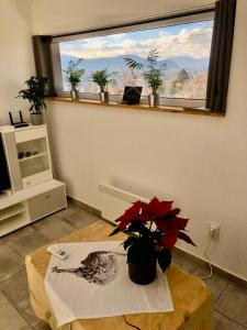 a living room with a vase with flowers on a table at Antracit House in Kismaros