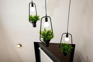 a room with three potted plants and three lights at GET a Cactus and Books studio in Porto +30 photos