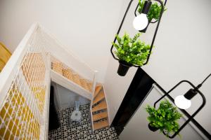 a room with a fireplace with two plants and lights at GET a Cactus and Books studio in Porto