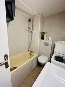 a bathroom with a tub and a toilet and a sink at LE FONTAGNEL N°310 in Molines-en-Queyras