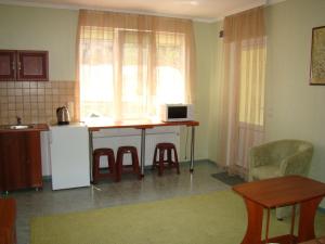 Kuchyň nebo kuchyňský kout v ubytování Mini-hotel in Odessa Yard