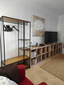 a living room with a book shelf and a tv at Domaine d'Alémanie in Ebersmunster