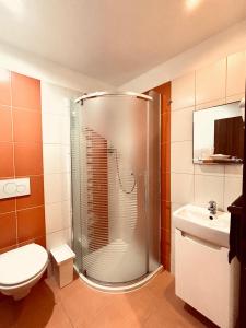 a bathroom with a shower with a toilet and a sink at Penzion Amálka in Třeboň +64 photos