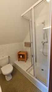 a bathroom with a toilet and a glass shower at Auberge La Cure in Oz