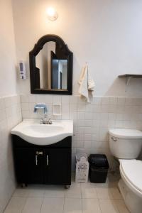 a bathroom with a sink and a toilet and a mirror at Depa Centrico en Monterrey in Monterrey +17 photos