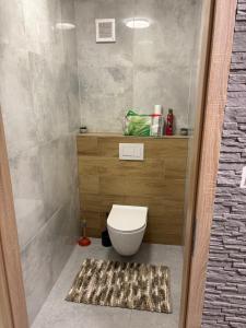 a small bathroom with a toilet and a rug at Apartmán Leo in Kežmarok