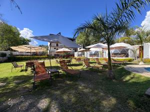 a group of chairs and umbrellas in a park at Glamping en Valle de Bravo in Valle de Bravo