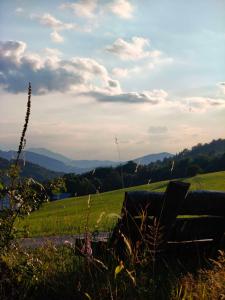 a bench sitting in a field of grass with mountains in the background at Domek Ponad Mgłami in Laskowa