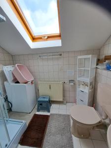 ein Badezimmer mit Toilette und Dachfenster in der Unterkunft Wohnung Widdern in Widdern + 21 Fotos