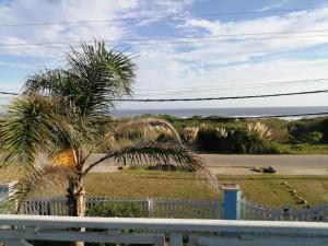 a palm tree in front of a white fence at blue beach in Rocha