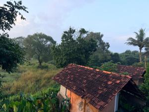 an old house with a tile roof in a field at Lake Cabin in Polonnaruwa