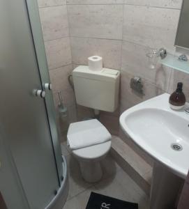 a bathroom with a toilet and a sink at Camere de Inchiriat Ceahlau in Ceahlău +17 photos
