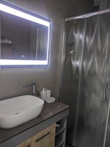 a bathroom with a sink and a shower with a mirror at SokoSTAR Apartman in Soko Banja +15 photos