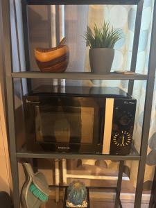 a black microwave on a shelf with a plant at Studio Mulhouse in Mulhouse