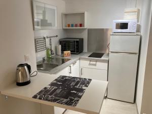 a kitchen with a white refrigerator and a microwave at Apartment avec cours in Bonny-sur-Loire