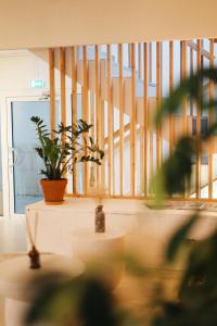 a room with a staircase and a potted plant at Hôtel Dune Saint-Pierre in Saint-Pierre-Quiberon
