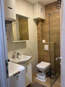 a bathroom with a toilet and a sink and a shower at Apartman Mimoza - Meljine in Meljine +20 photos