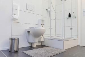a white bathroom with a toilet and a shower at Dreiländer Blick Apartments in Lörrach