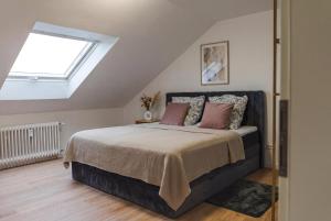 a bedroom with a bed with a skylight at Dreiländer Blick Apartments in Lörrach