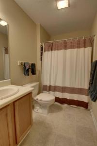 a bathroom with a toilet and a shower curtain at Rivers Edge Condo 902 in Helen