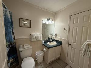 a bathroom with a toilet and a sink and a mirror at Rivers Edge 803 in Helen