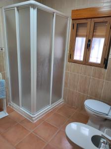 a bathroom with a shower and a toilet at El refugio de Águeda in Gorafe +11 photos