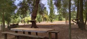 a wooden bench sitting in front of a tree at Cabaña con rio y camping in Los Ángeles +11 photos