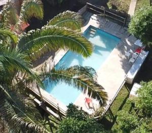 an overhead view of a swimming pool with palm trees at La Florida Hotel in El Colegio